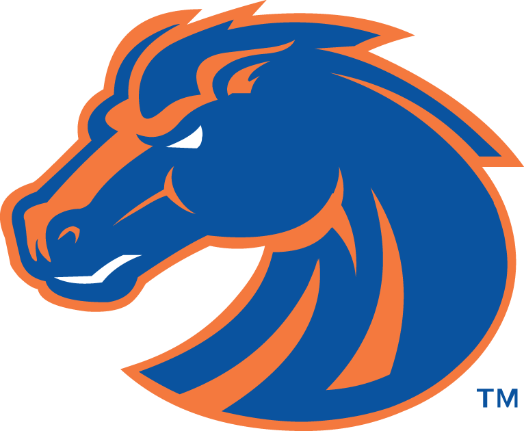 Boise State Broncos 2002-2012 Secondary Logo iron on transfers for T-shirts